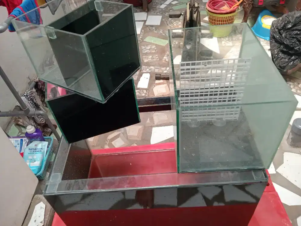 Jual murah Lima aquarium