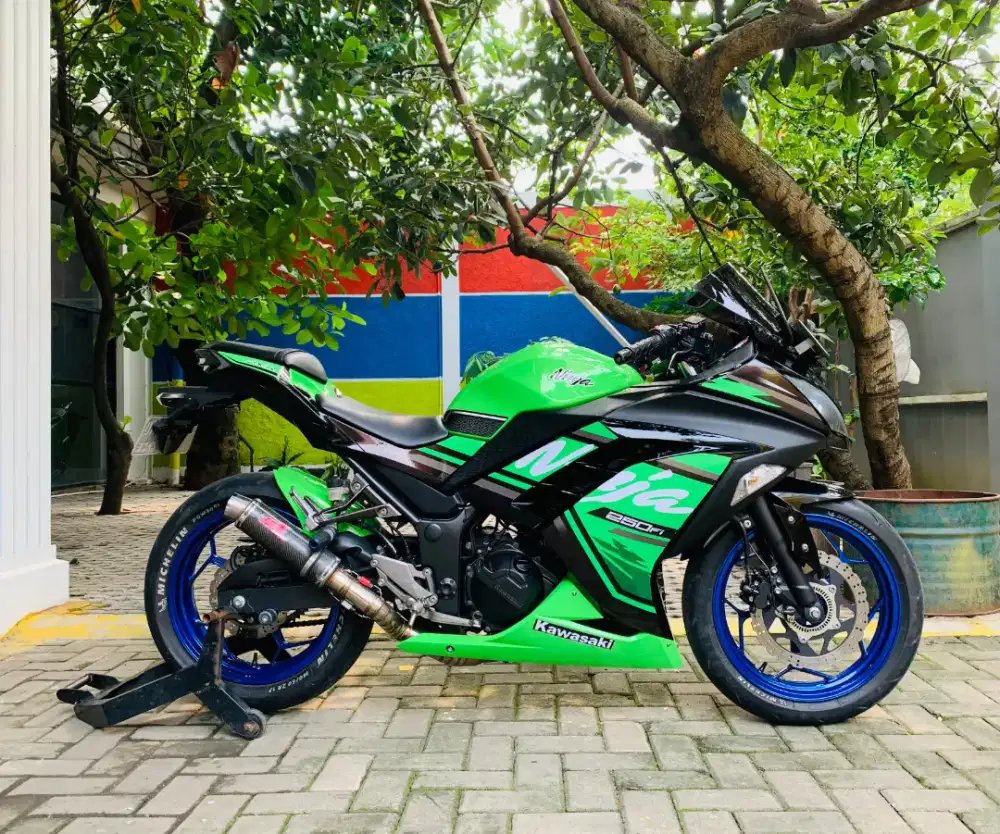Kawasaki ninja 250 abs