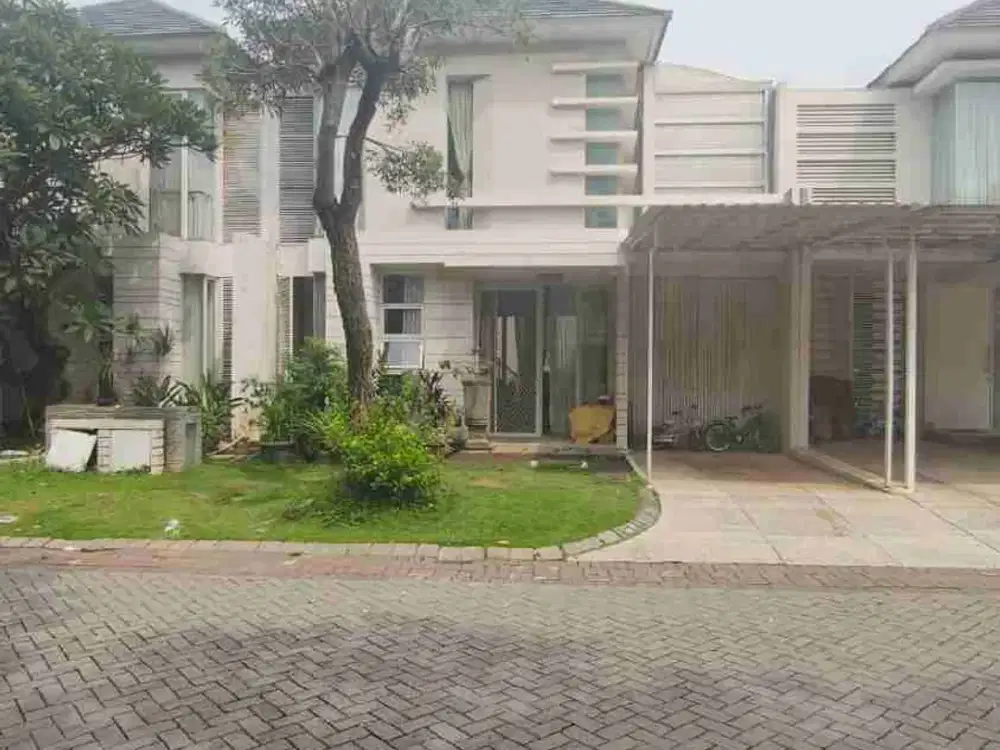 palm beach termurah dikelasnya