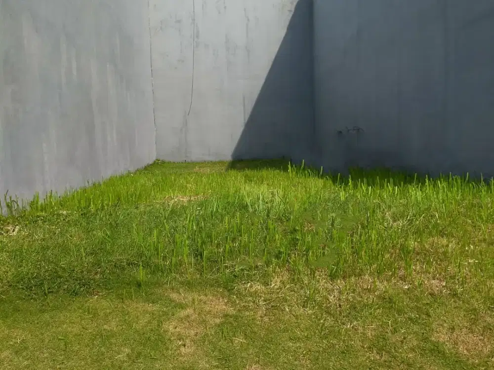 Tanah Murah Siap Bangun Palm Beach Pakuwon City