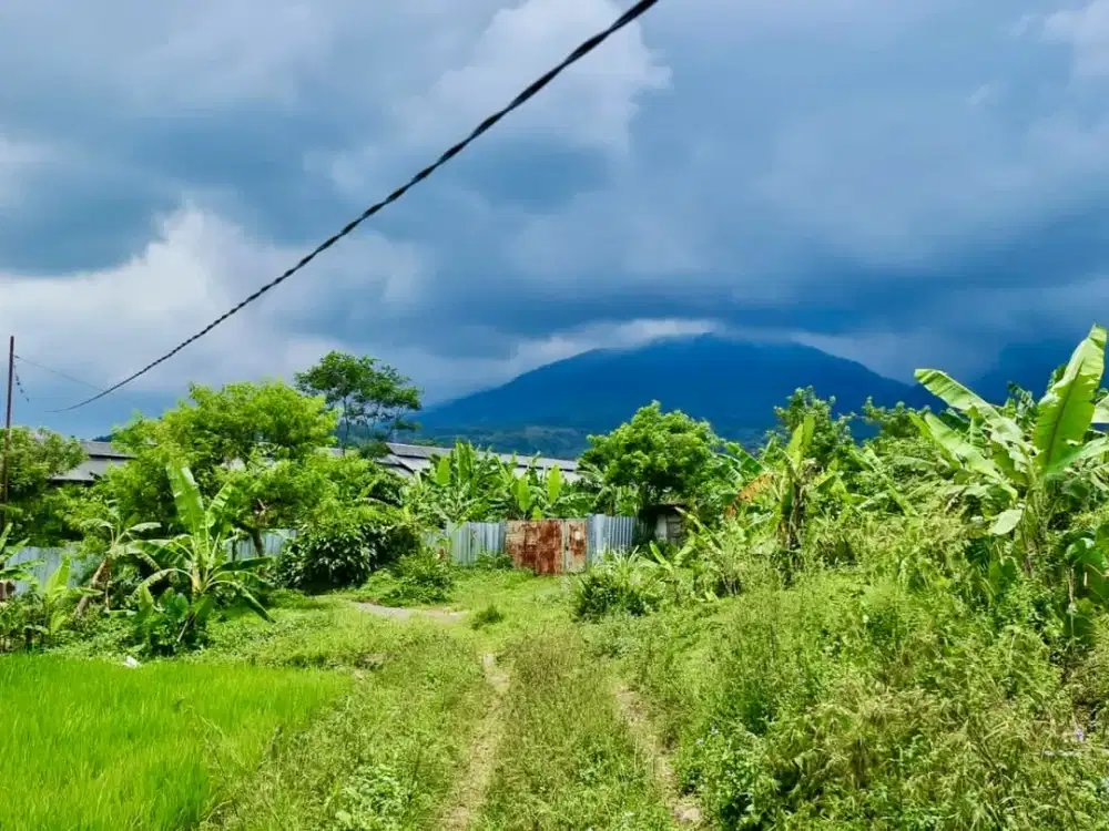 Tanah murah cijeruk bogor view pegunungan cocok untuk villa/ investasi, tanah murah bogor, lahan investasi bogor selatan, tanah villa cijeruk bogor