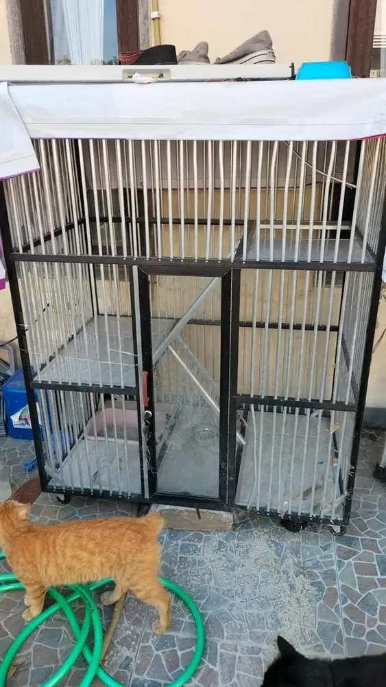 Kandang Kucing Bekas Besi Alumunium Bagus Muat Banyak