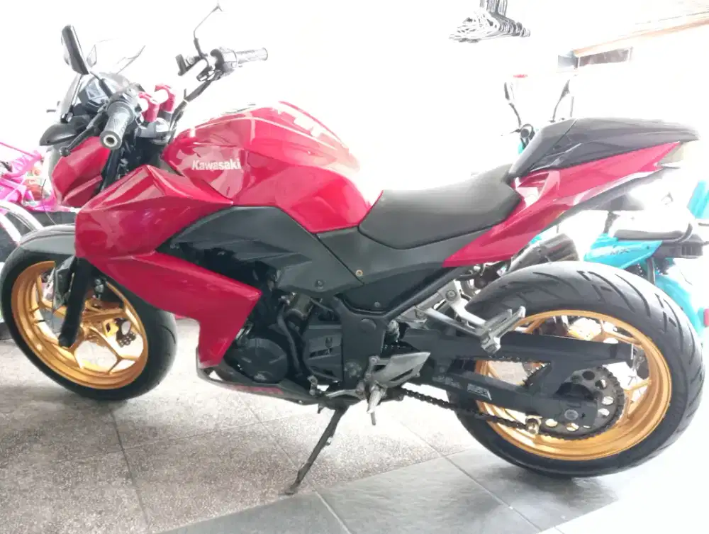 Ninja Z250Fi Dual Cylinder 2013 Build Up Lengkap Pajak Hidup