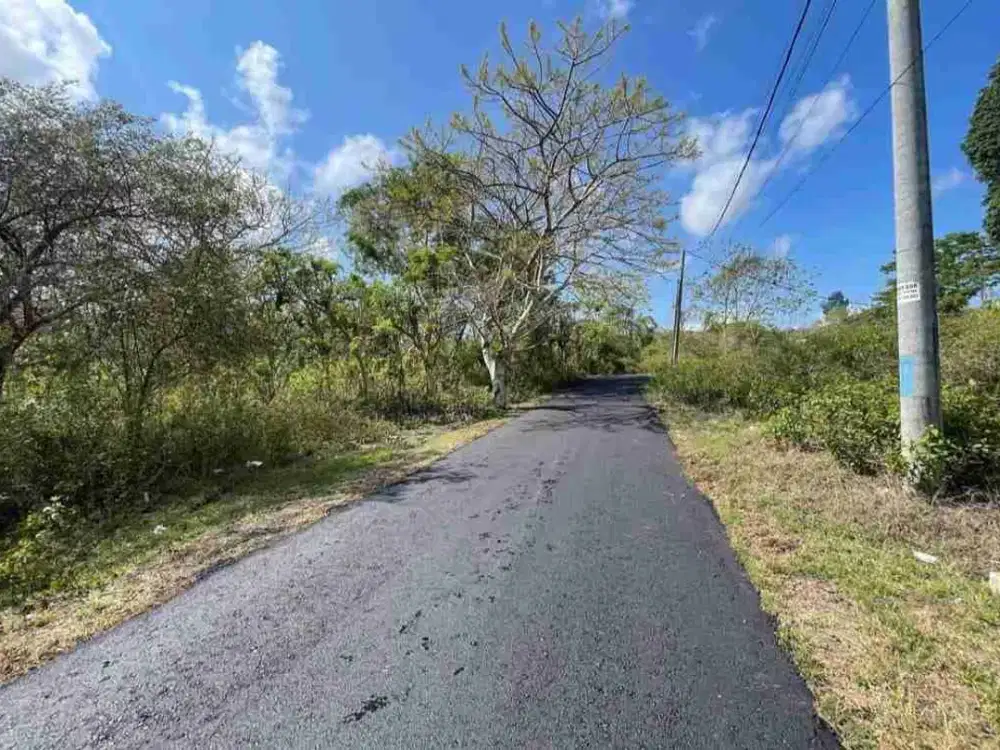 Jual Tanah Luas mulai 100m²/1 are Jl Bingin Sari Jimbaran dekat kampus Unud