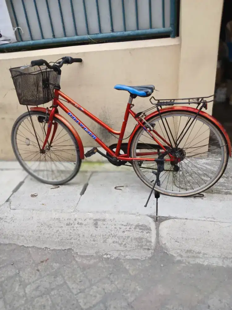 Sepeda keranjang Polygon-Sierra, Ukuran 26