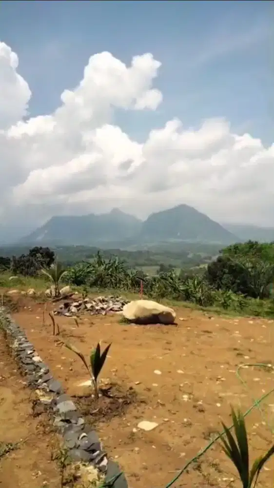 Dijual tanah produktif dekat dengan jalan raya Sukamakmur