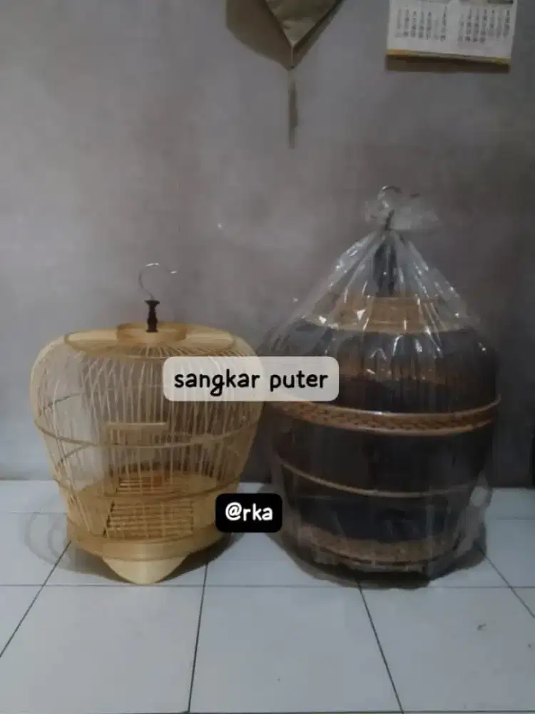 sangkar puter pondok cabe