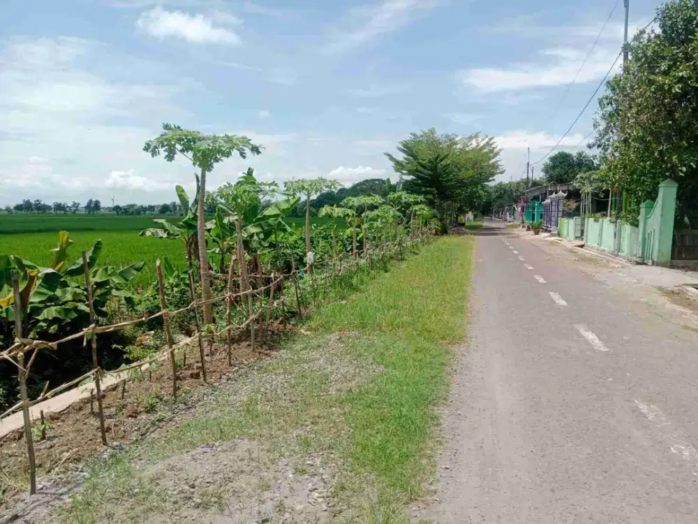 Sawah 7.270m² muka 300m panen 3x, +/- 1km dari jalan raya gentan Bendosari sukoharjo