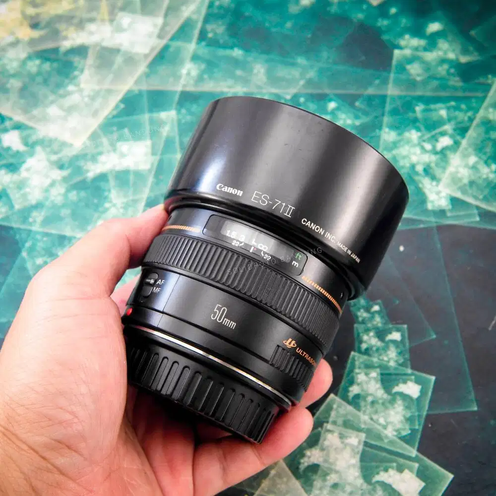Canon 50mm F1.4 USM. Used. Mulus