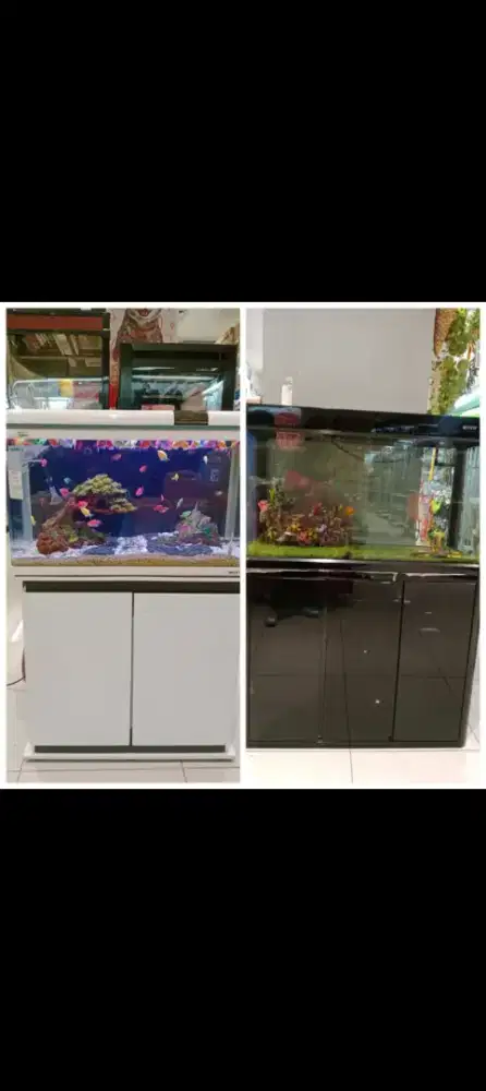 kredit aquarium syrt cuma ktp via home credit free angsuran 1-2×