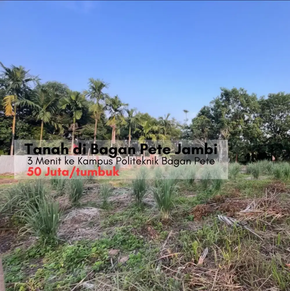 Dijual tanah di Bagan Pete kota Jambi