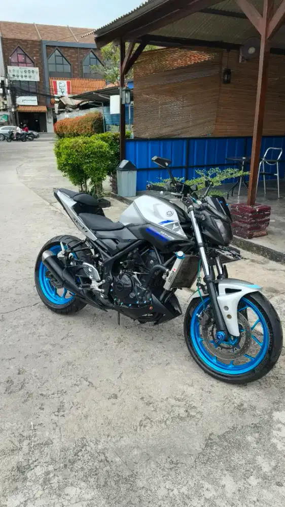 Mt25 2016 silver mulus