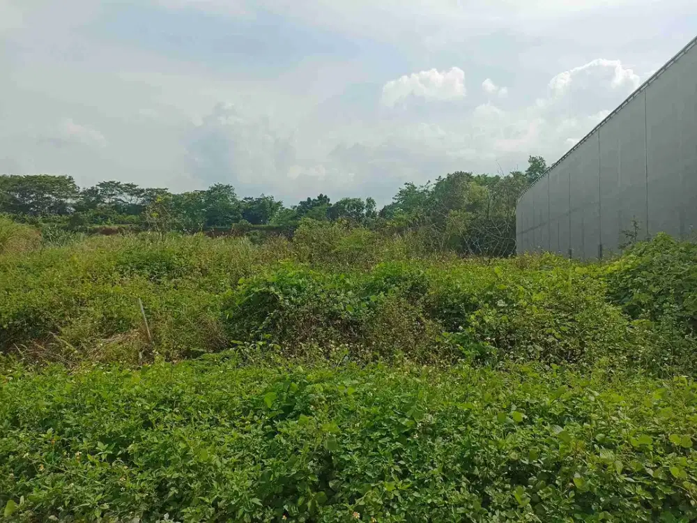 Jual Kavling Tanah Kawasan Industri Candi 1000 mtr 2000 mtr Gatot Subroto Semarang