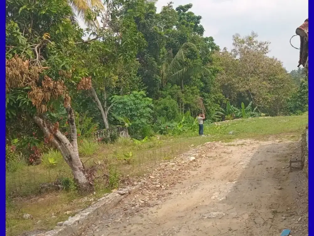 Tanah 2 Menit kandang Ingkung Resto Balecatur Gamping Jogja