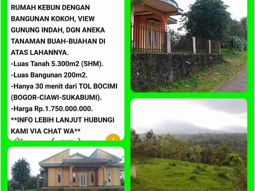 Villa Kebun View gunung indah dgn buah berlimpah 5300m2 SHM 35 menit dr Tol Parungkuda-Sukabumi. 05