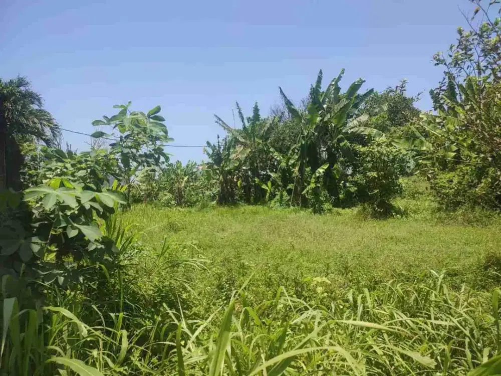 Tanah View Laut di Padanggalak Sanur
