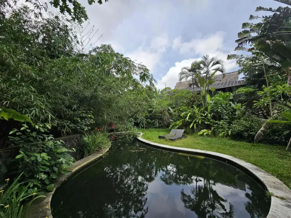 BUTUH UANG CEPAT!!!

Tanah Komersil deket Canggu Bali Los sungai & View Sawah Bonus villa Mangkrak