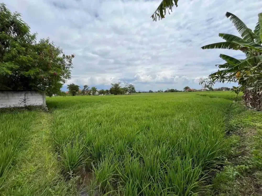 DIJUAL CEPAT 

Tanah Luas &amp; Murah di Rancaekek Kabupaten Bandung Siap Bangun

Jalan Tegal Sumedang, Bisa di Akses dari Jl Gede Bage via Summarecon, Sapan dari Mesjid Al Jabar &amp; Stadion GBLA