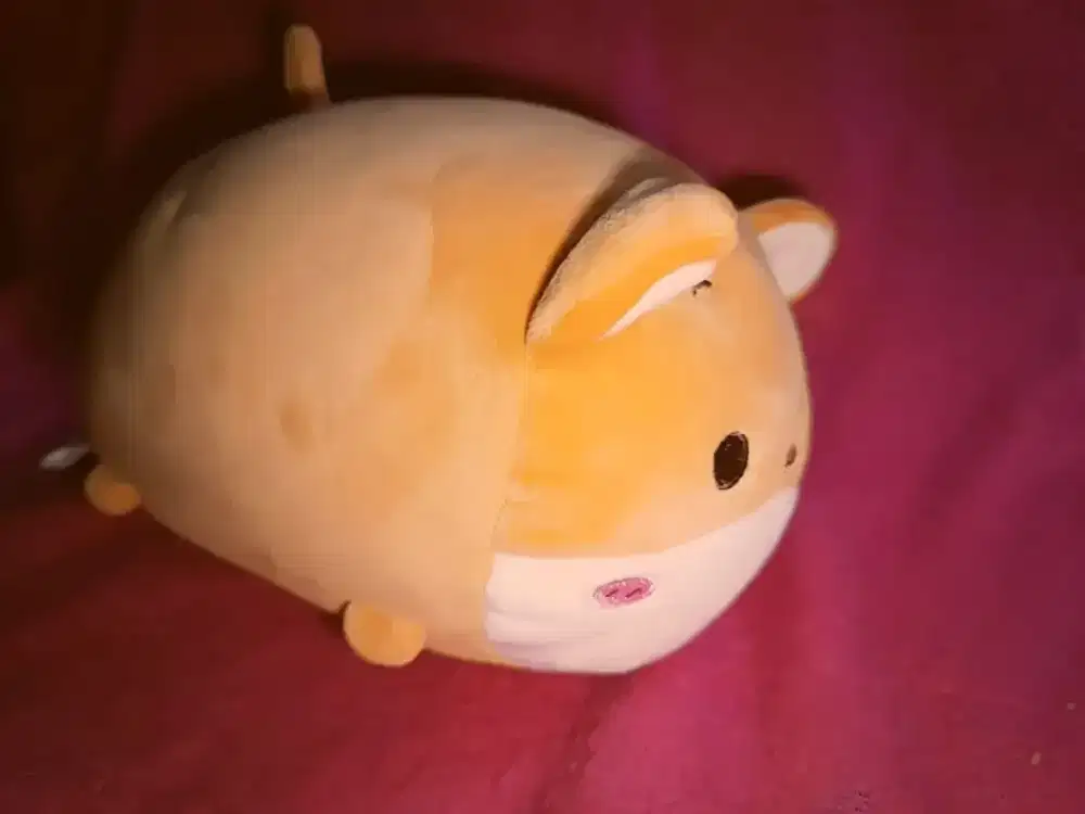 Lucu dan Imut, Boneka Kucing yang Menggemaskan