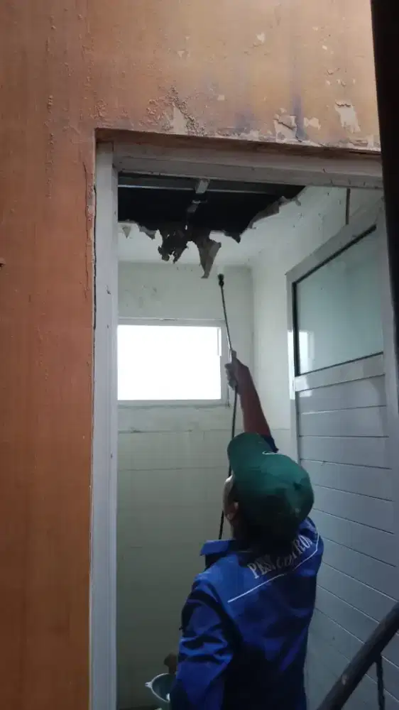 Jasa anti rayap Depok,Bekasi,Bogor, jakarta