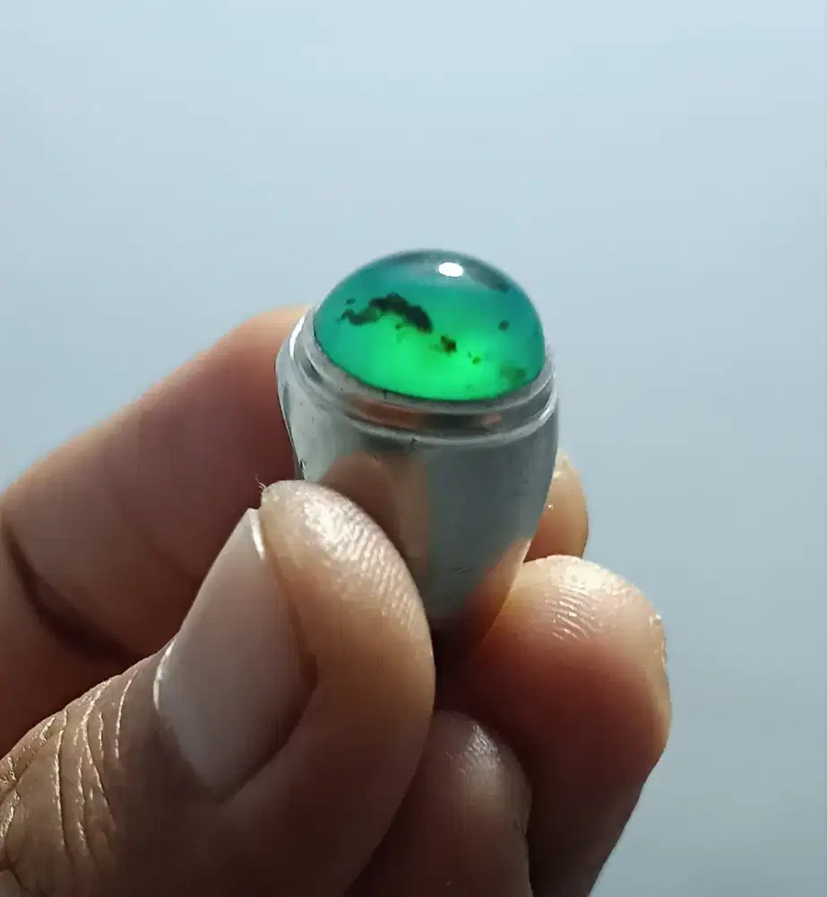 Bacan Gulau Hijau Botol