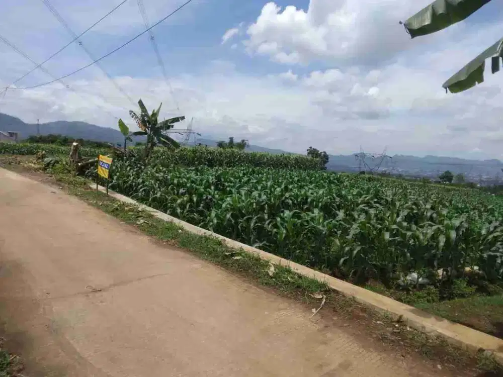 Tanah KEBUN setelah perm sindangpanon banjaran
