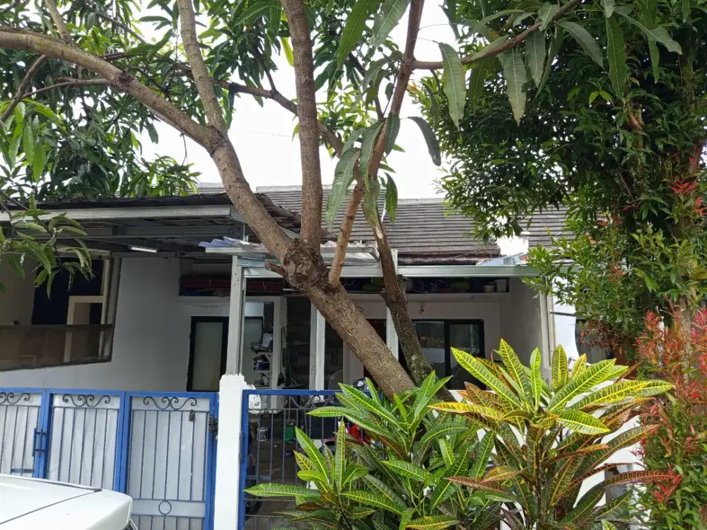 Disewakan Rumah Tahunan untuk mahasiswa/i (nego)