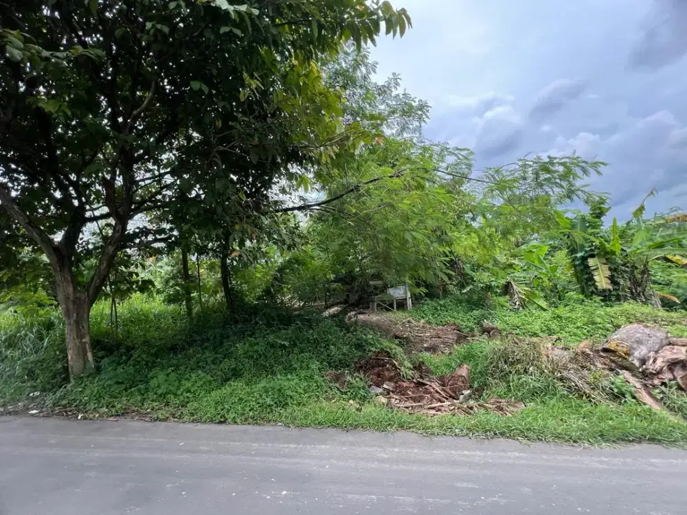Dijual Tanah Cocok Untuk Cluster Perumahan Dekat Gua Maria Bukit Kanad