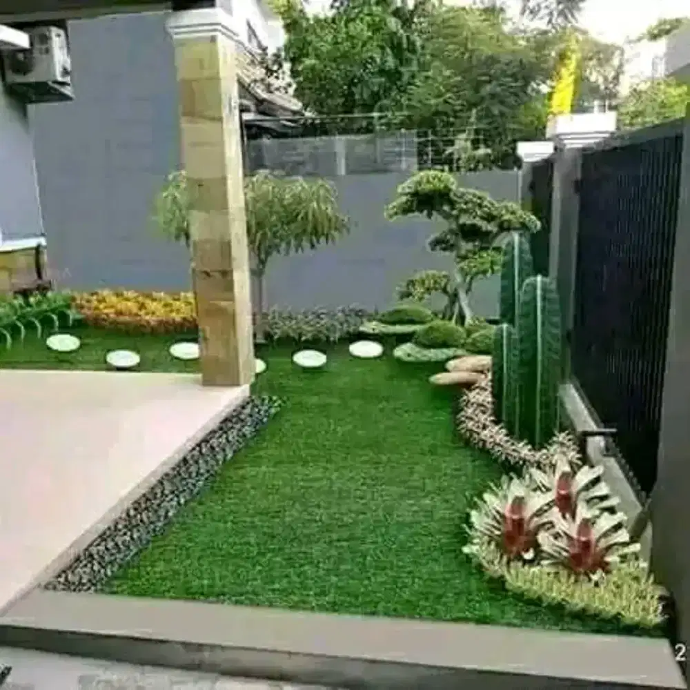 Jual rumput hias gajah mini