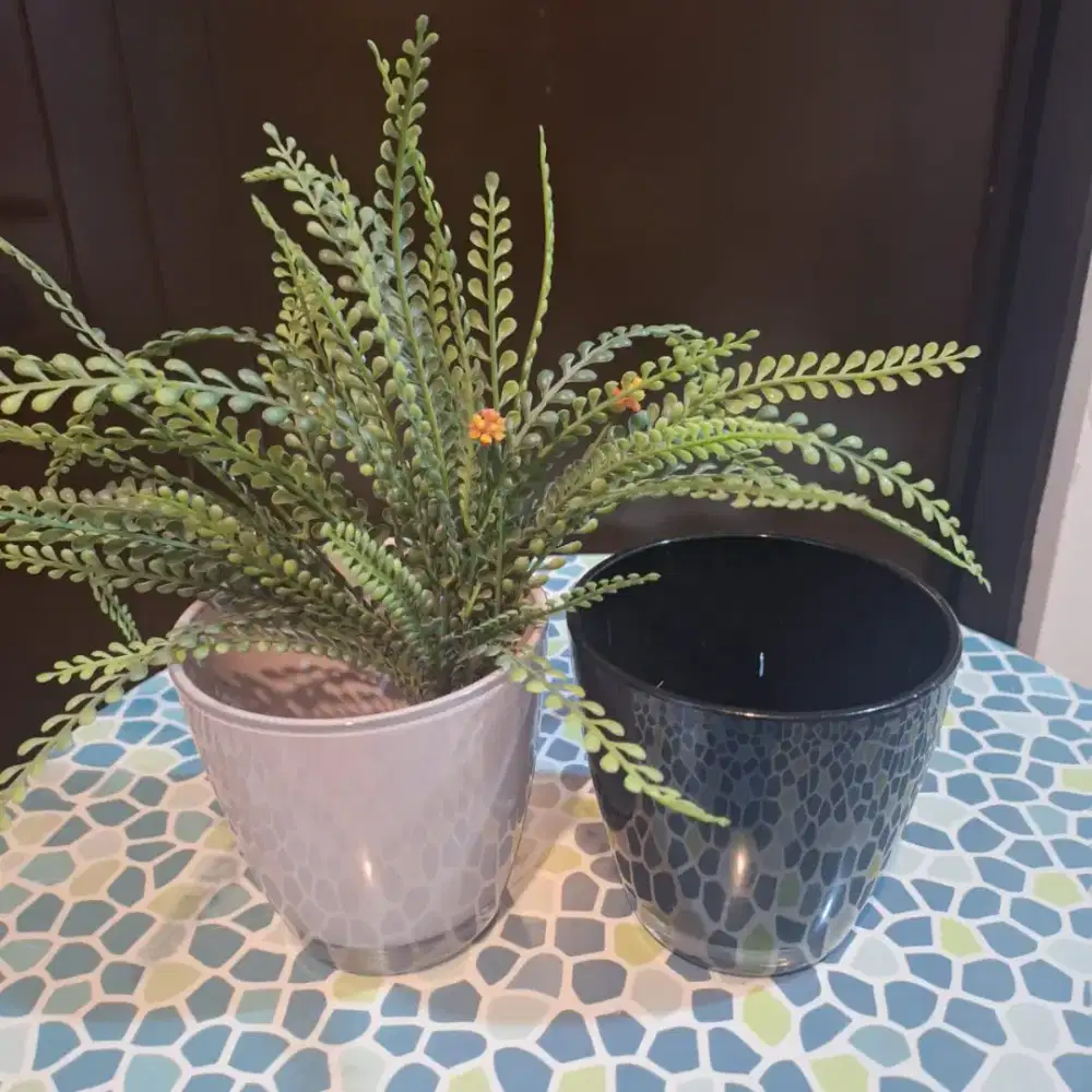 POt Bunga Beli Di Informa