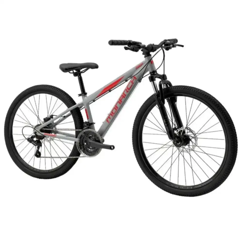 Sepeda gunung (MTB) Polygon Baru