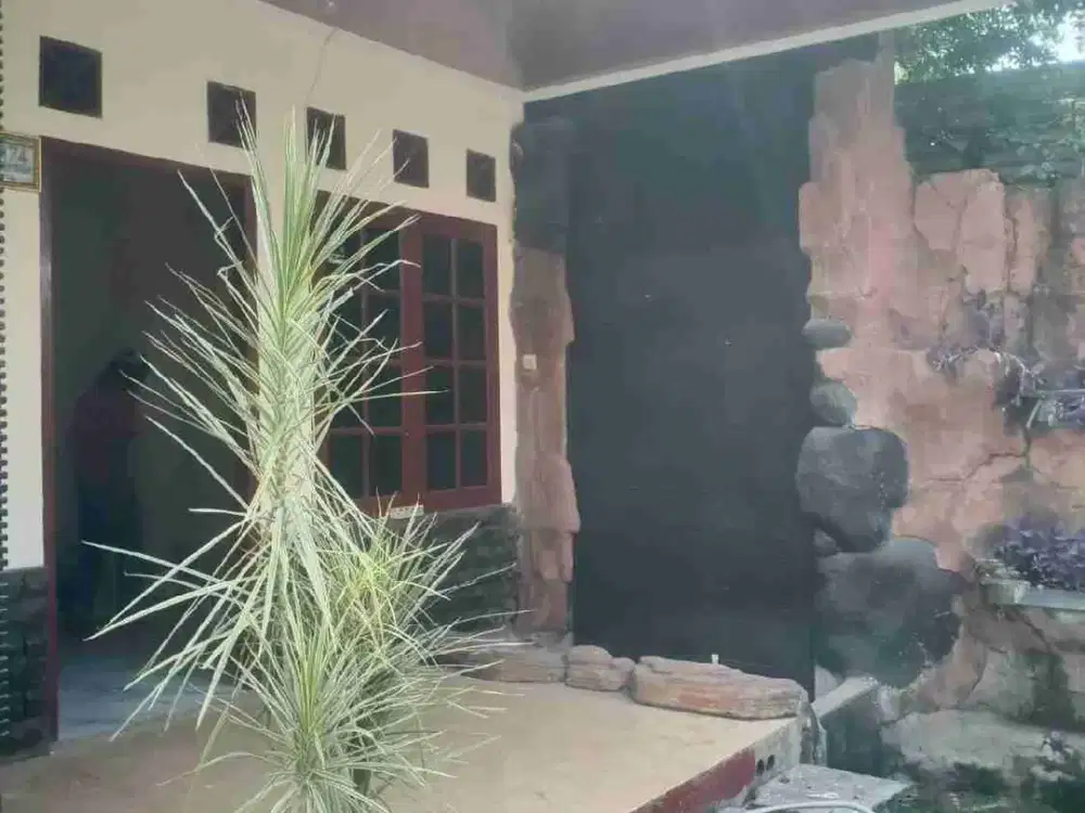 Rumah Sewa Di Lenteng agung