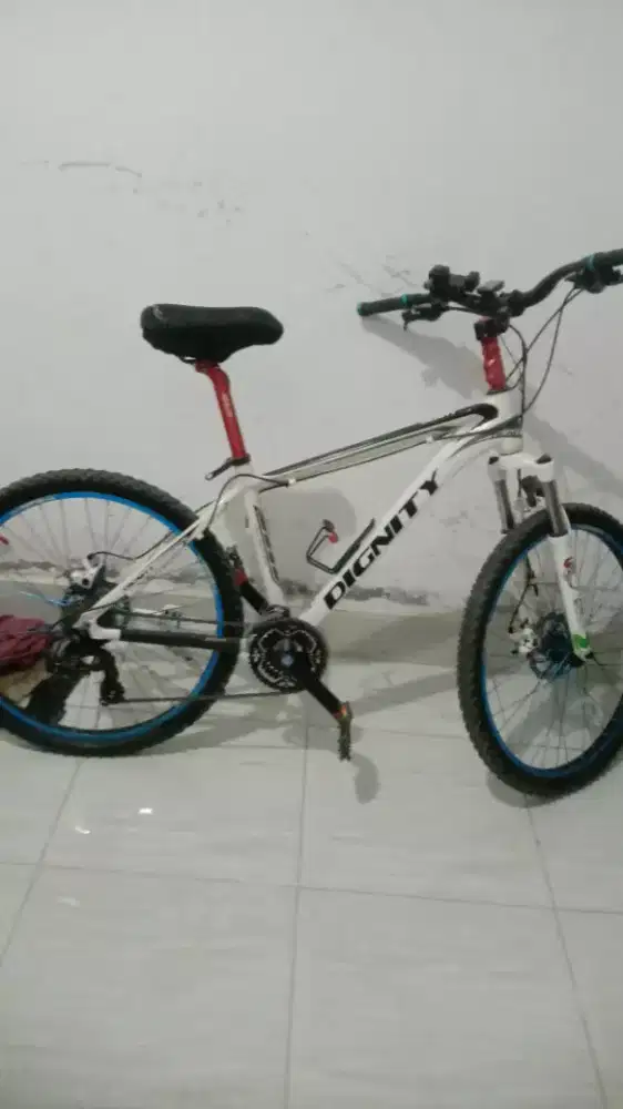 Jual Sepeda MTB DIGNITY