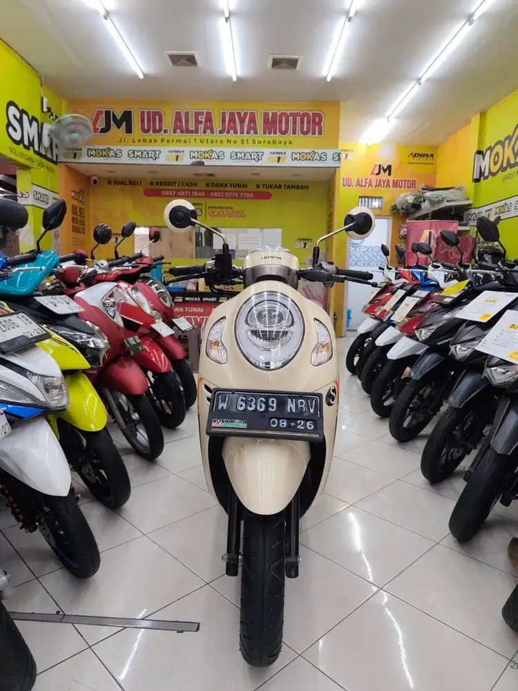 Scoopy sporty th 2021