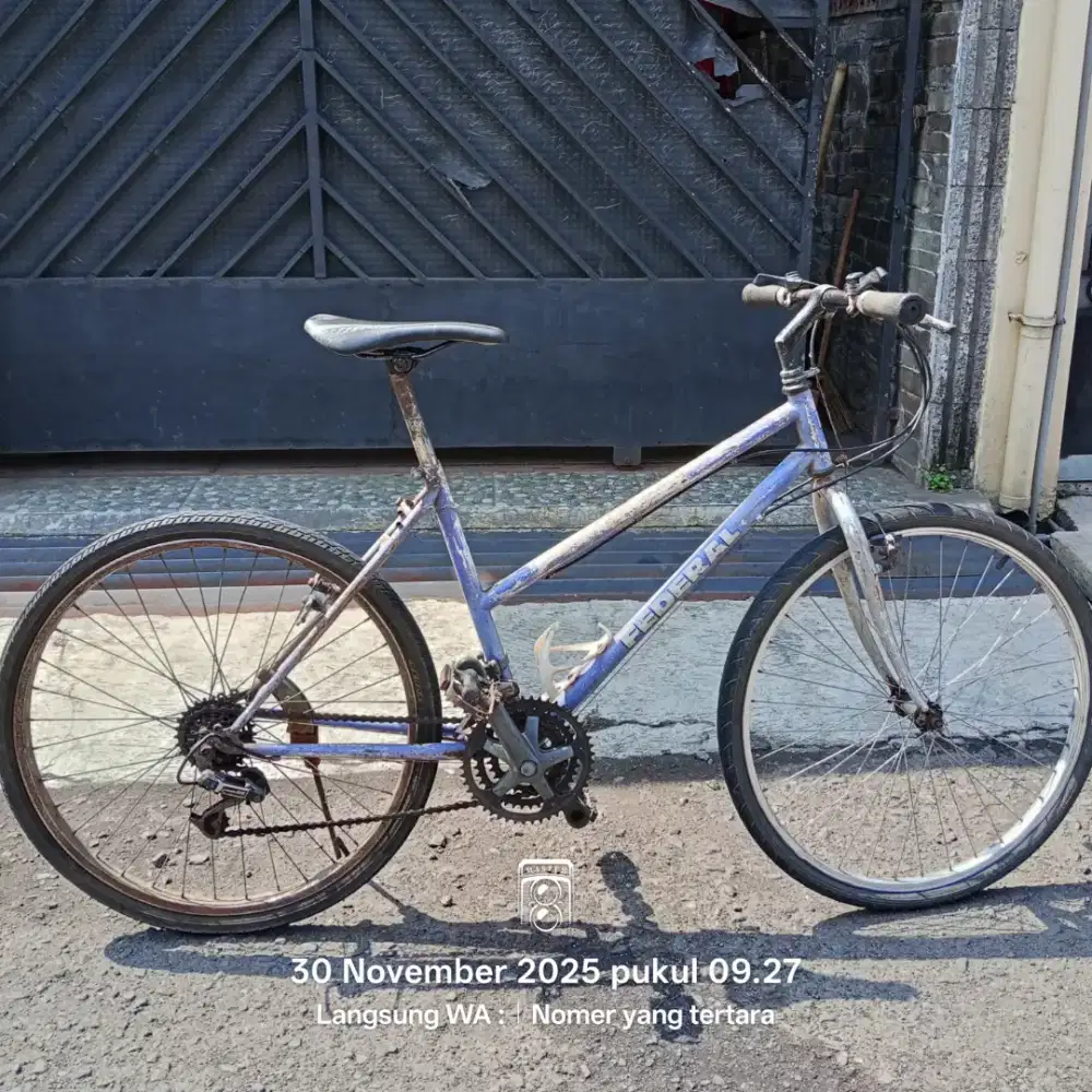 Sepeda Federal Lady 26 Full Original Serial Number