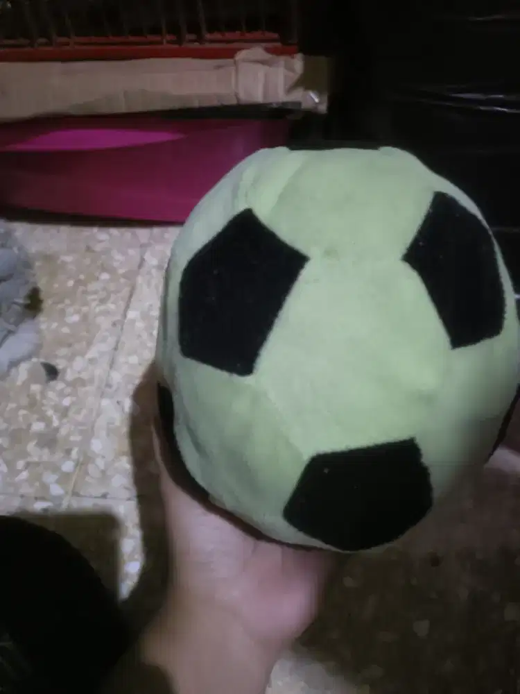 Boneka bola cantik