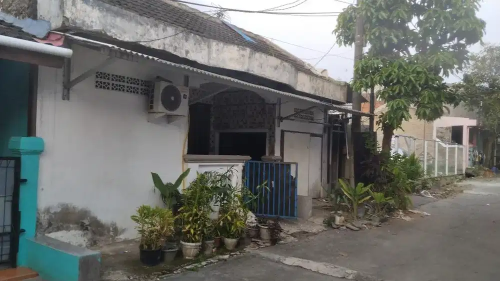 Kual murah banget hook dan dekat mall sms serpong