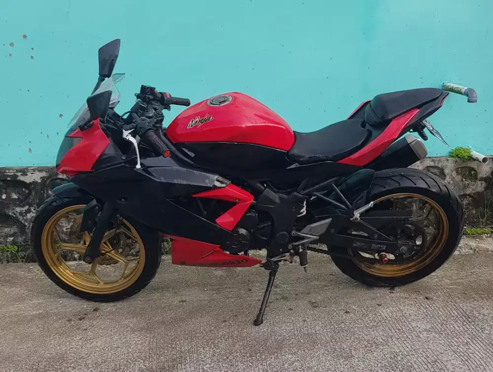 Ninja 250 4tak RR mono fi
