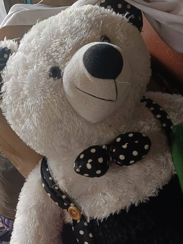 BONEKA BERUANG PUTIH - HSC 2024