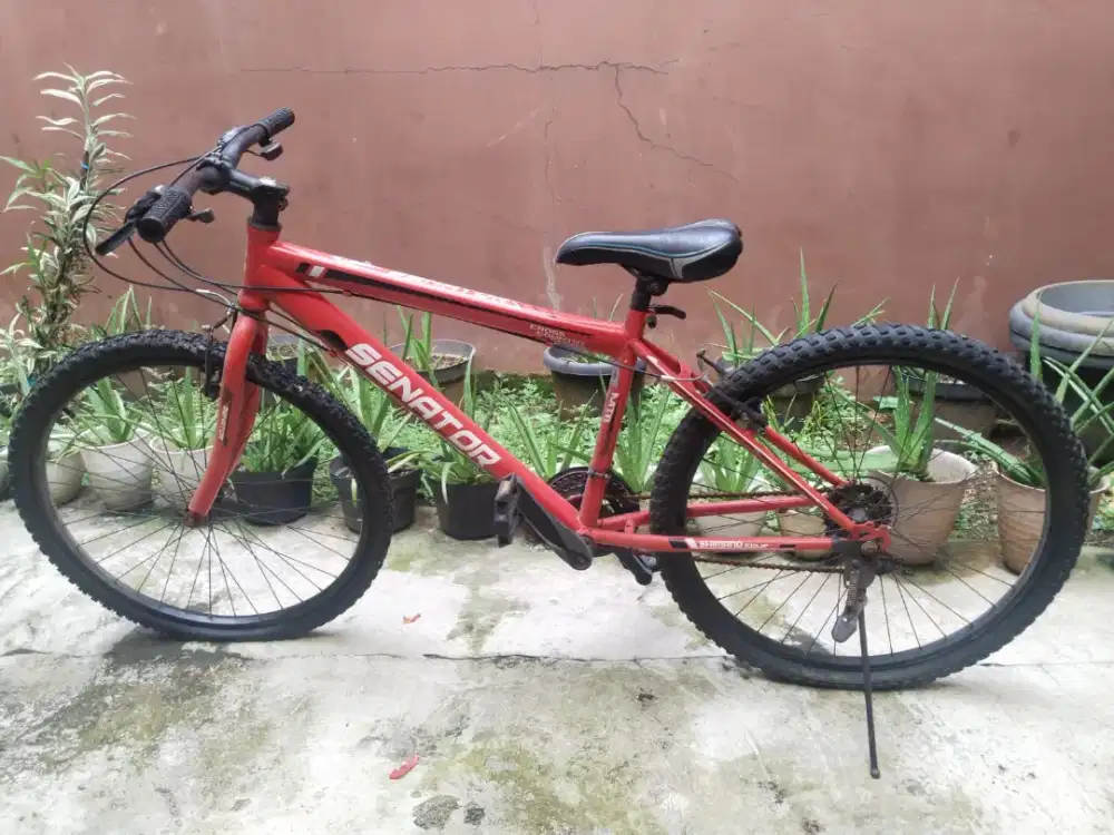 [Sepeda Bekas] MTB Senator Cross Country