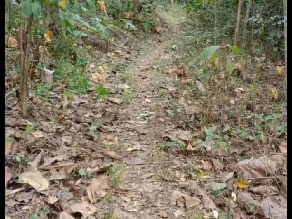 JUAL TANAH DI SIDOARJO SAMIGALUH KULONPROGO VIEW PEGUNUNGAN