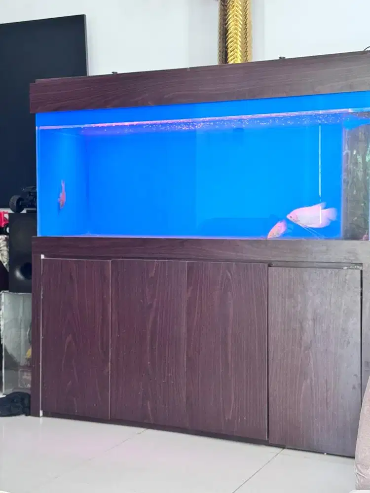 Aqurium ketebalan kaca 10 Mili tingih kaca 80 lebar 150.tingih tulang