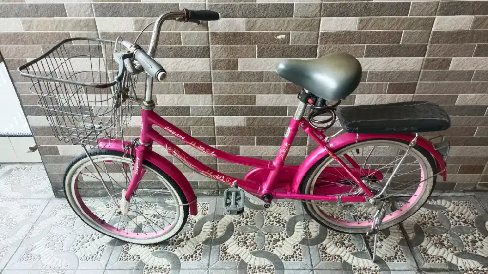 Dijual Sepeda Cantik