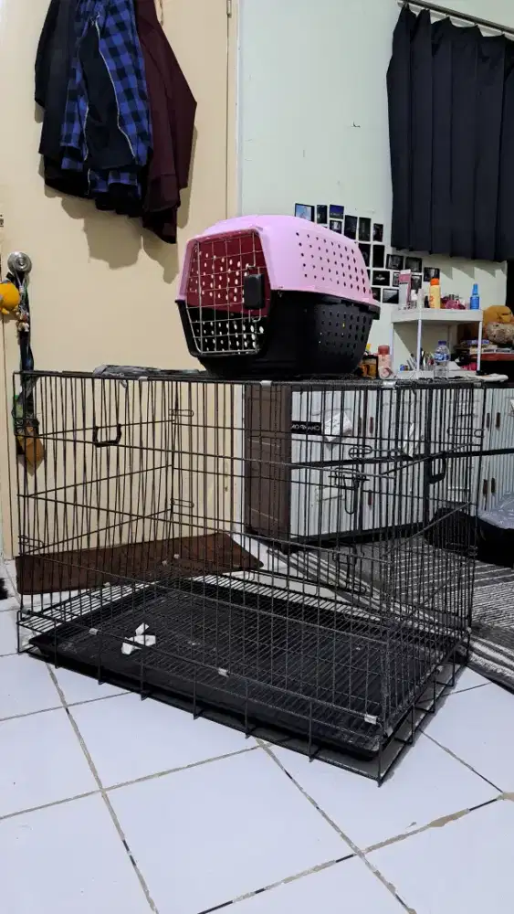 Kandang dan pet cargo kucing/anjing