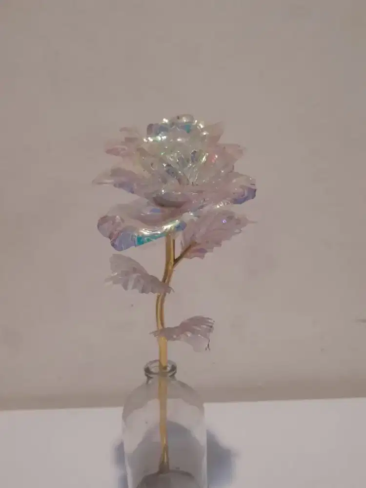 Rose Glass in Bottle - HSC 2025