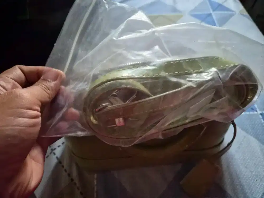 Dijual Tas LV warna hijau