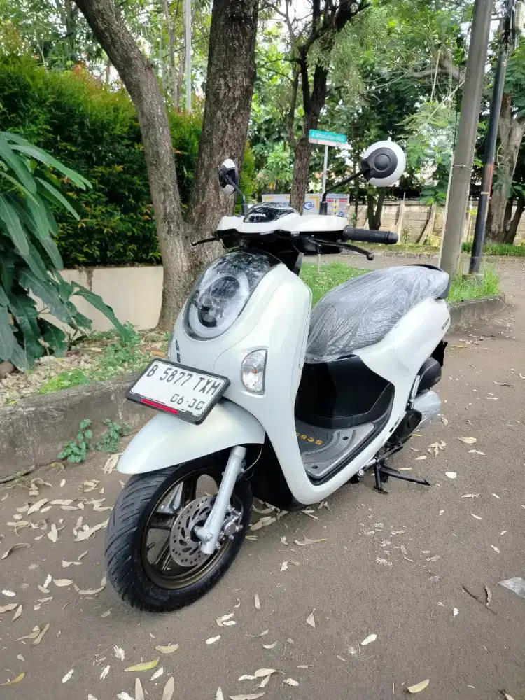 Honda Scoopy prestige keyles tahun 2025