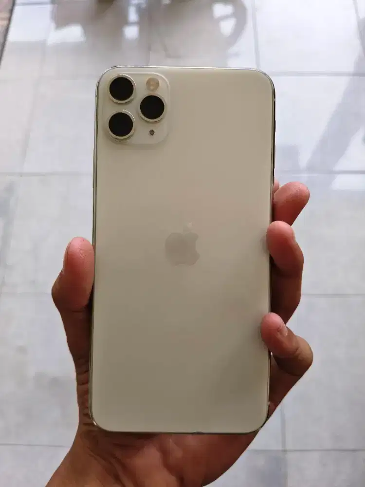 11 Pro Max 256 Whitelist