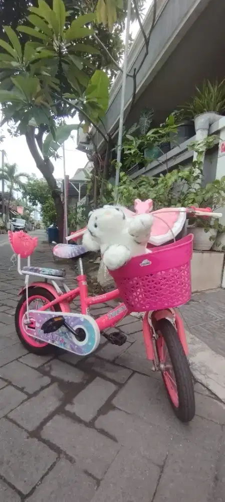 Sepeda Mini anak cewek sekolah TK
