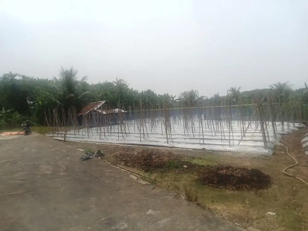 Tanah luas 600m2 (2 Kavling)